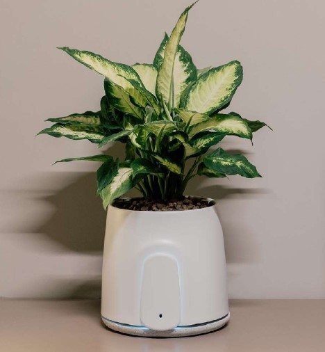 NATEDE SMART - PURIFICADOR DE AIRE NATURAL NATEDE SMART - PURIFICADOR DE AIRE NATURAL