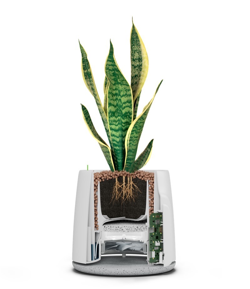 NATEDE SMART - PURIFICADOR DE AIRE NATURAL NATEDE SMART - PURIFICADOR DE AIRE NATURAL